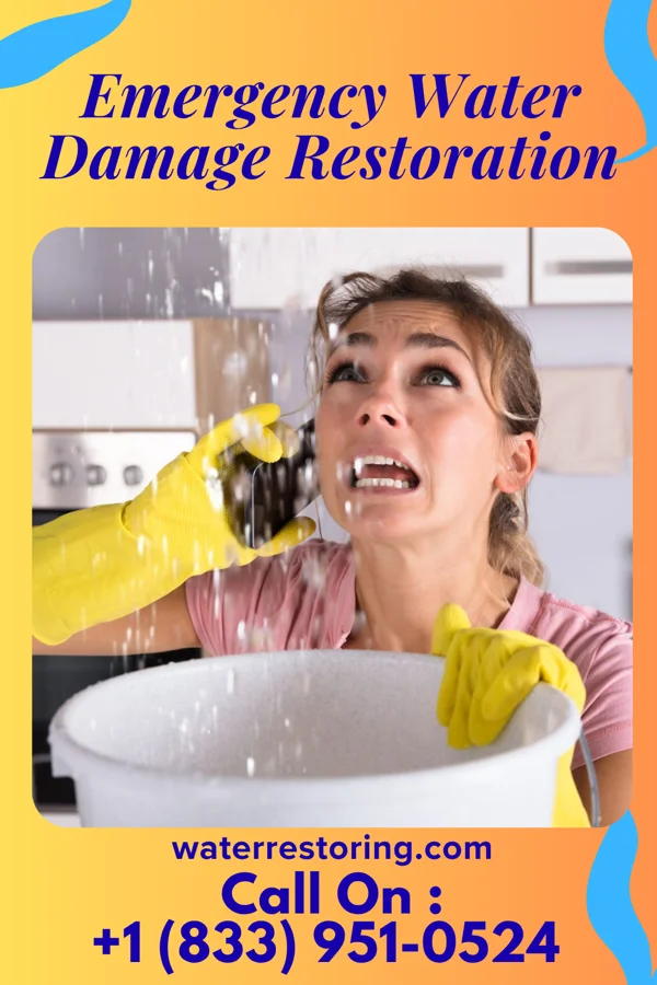 Emergency Water Damage Restoration in Prescott, WA